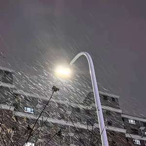 77公社网页版1网页版2登陆入口
