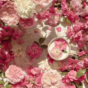 77公社网页版1网页版2登陆入口
